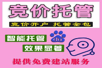 百度推广操作指南：案例解析关键词优化